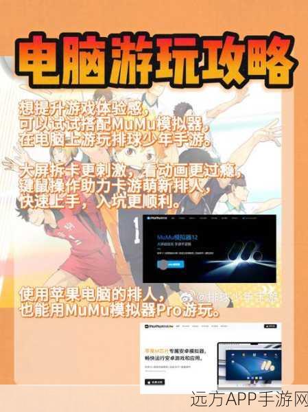 排球少年新征程，最强阵容搭配全攻略
