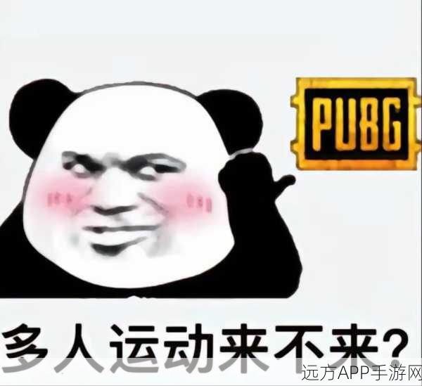 绝地求生刺激战场，解锁快看我动作趣味表情，赢取战场先机！