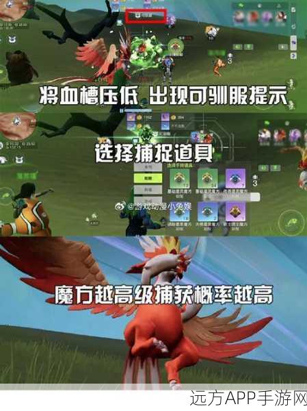 蓝龙啾啾捕捉全攻略,掌握技巧,征服创造吧我们的星球稀有宠物