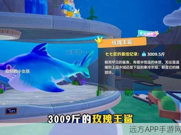 梦幻花园，揭秘鲨鱼背景板的获取攻略与精彩赛事细节