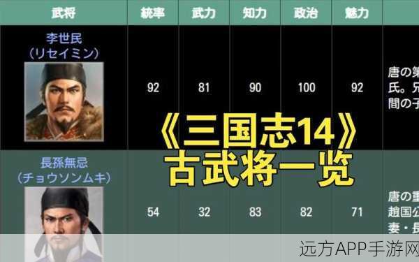 三国志14深度攻略，轻松掌握武将等级查看与提升秘籍