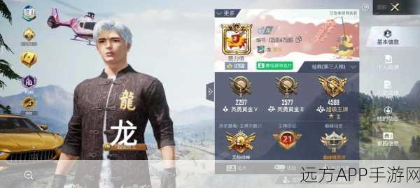 酷二狗，和平精英中的独特魅力