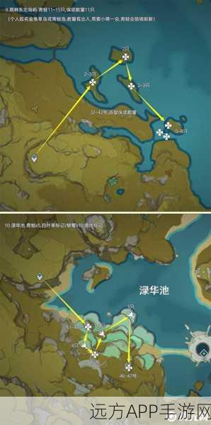 解锁原神渌华池秘境,全面攻略与实战技巧大揭秘