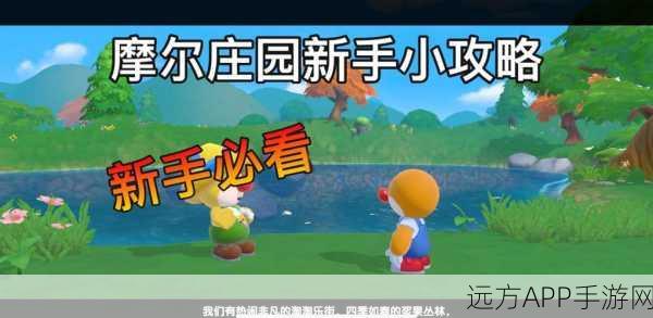 摩尔庄园手游乞讨秘籍，新手速成，乞讨技巧与策略大揭秘