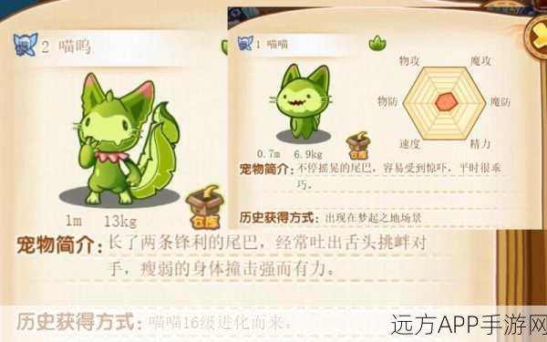 洛克王国猫老大获取攻略,稀有宠物再现江湖,你准备好了吗?