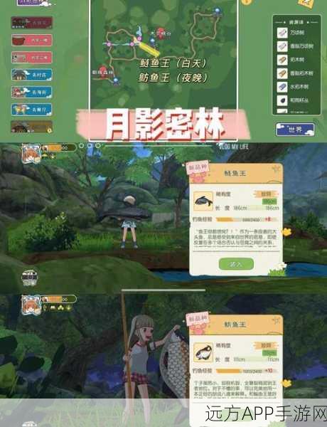 小森生活渔业大亨，高效提升渔业等级攻略