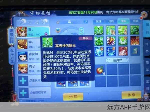 神武战盟点转赠攻略，轻松传递，畅享游戏乐趣