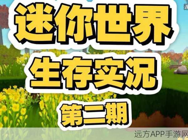 迷你世界空岛秘境探险大赛，解锁未知领域的奇幻之旅