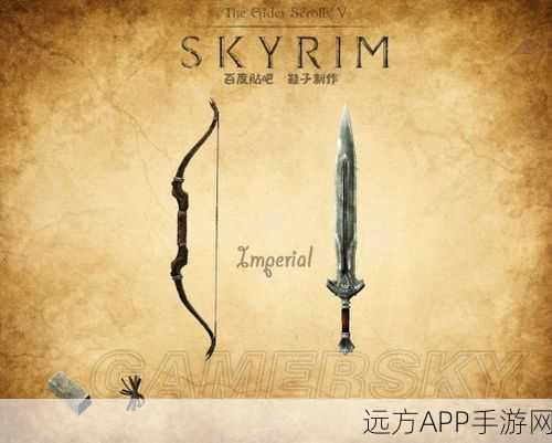 上古卷轴5深度攻略,如何取消与永久使用负重代码全解析