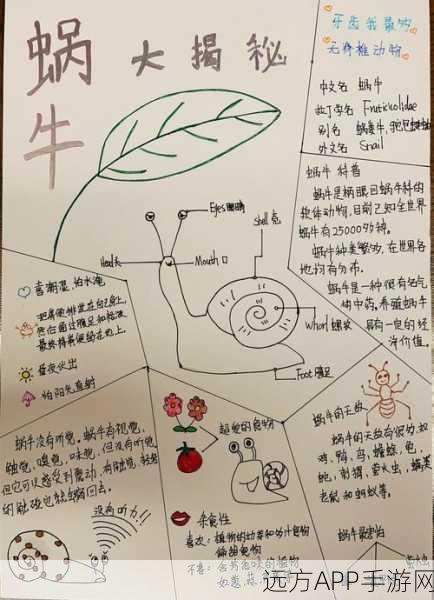 探秘古文明，解锁蜗牛藏宝图，考古学者专属宝藏大揭秘