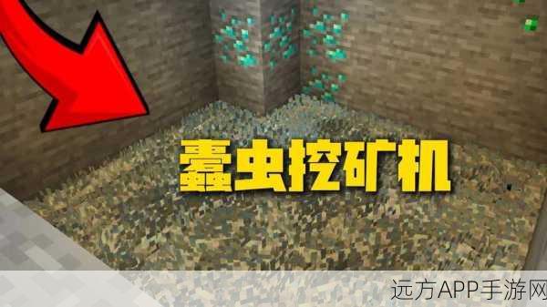 探秘我的世界,蠹虫的奇妙用途与生存技巧