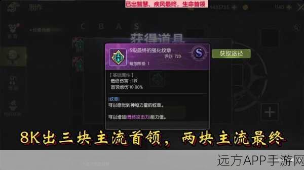 龙之谷深度解析，揭秘最终伤害的实战价值与运用策略