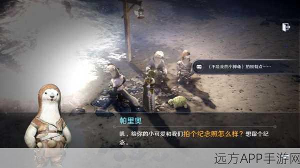 黑色沙漠手游，独家揭秘！小神龟高效获取全攻略