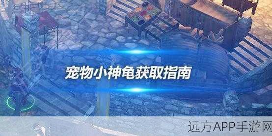 黑色沙漠手游,独家揭秘!小神龟高效获取全攻略