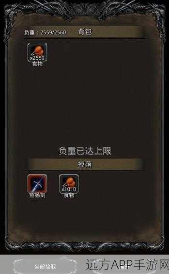 地下城堡2,红装盛宴,揭秘顶级装备的璀璨之旅