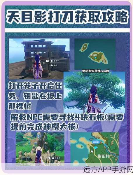 探秘原神神里绫华樱花树秘境，详尽位置指南与浪漫传说揭秘