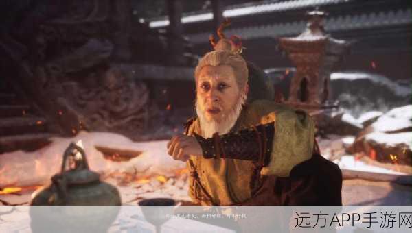 揭秘黑神话，悟空袁守诚角色深度图鉴，探索神秘背后的故事