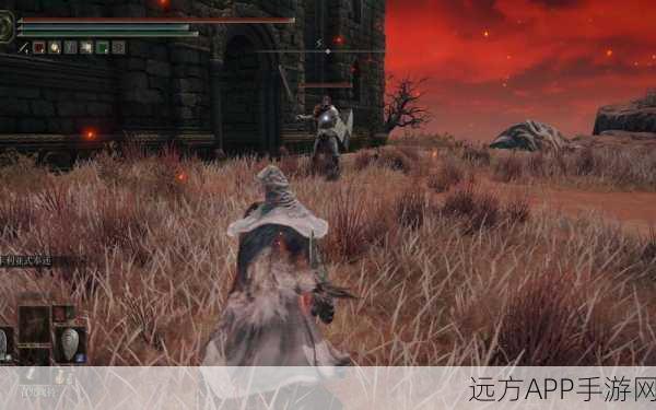 艾尔登法环深度攻略，打造无敌肉盾流的实战技巧