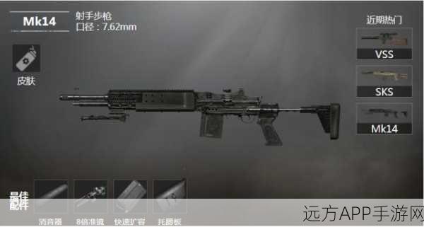 和平精英枪械自由切换,战场策略制胜新篇章