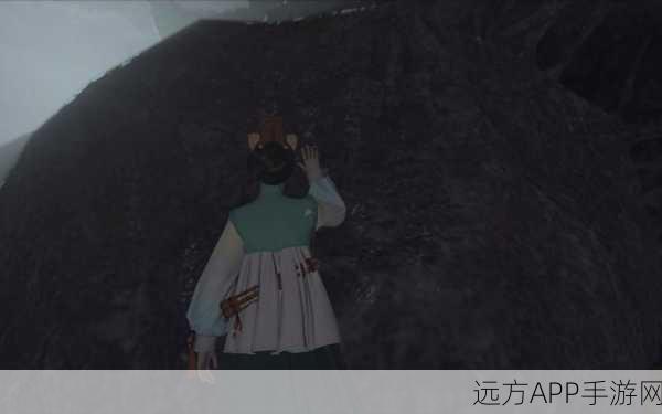 探秘古剑奇谭3,岑青岩位置全攻略与隐藏任务揭秘