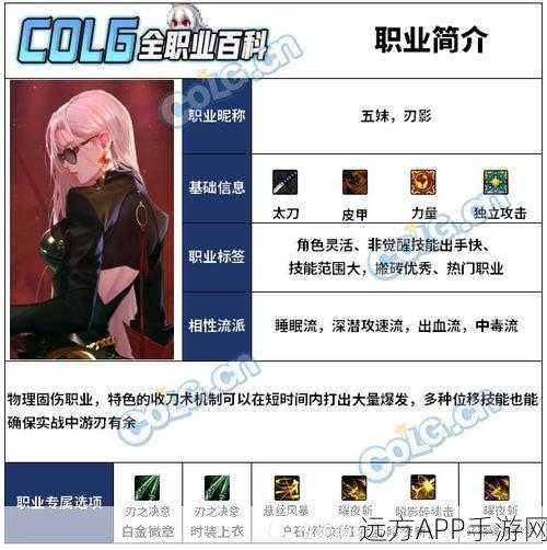 刃影风暴，DNF刃影职业技能深度剖析与实战应用