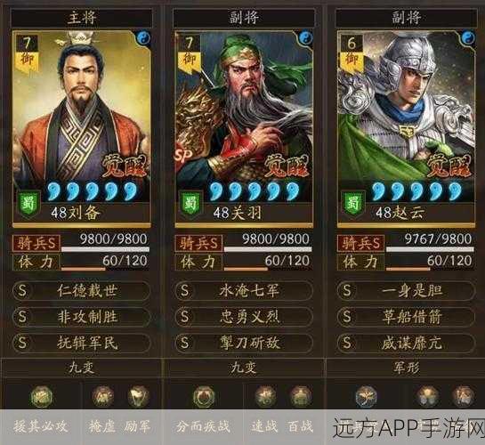 张姬无双,三国志战略版最强组合搭配深度剖析与实战攻略