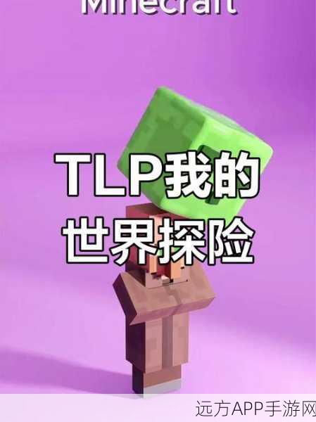 探索我的世界，腐肉大赛的奇妙冒险之旅