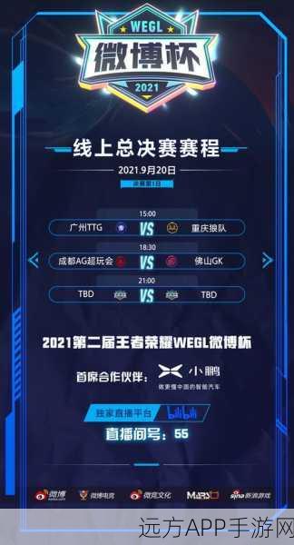 王者荣耀安装包失踪之谜,解决方案与精彩赛事预告