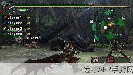 怪物猎人2ndG深度攻略，揭秘肉球印章与麻痹袋的获取之道