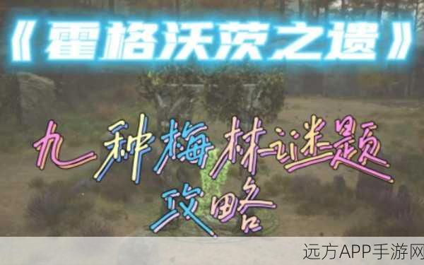 霍格沃茨之遗，东北福特沼泽飞路之焰梅林试炼全攻略