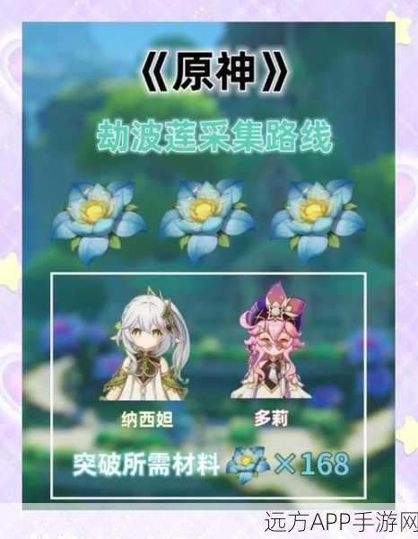 原神纳西妲养成秘籍，高效劫波莲采集路线全揭秘