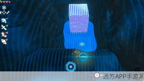 塞尔达传说，揭秘巨鲸化石与远古遗迹全攻略