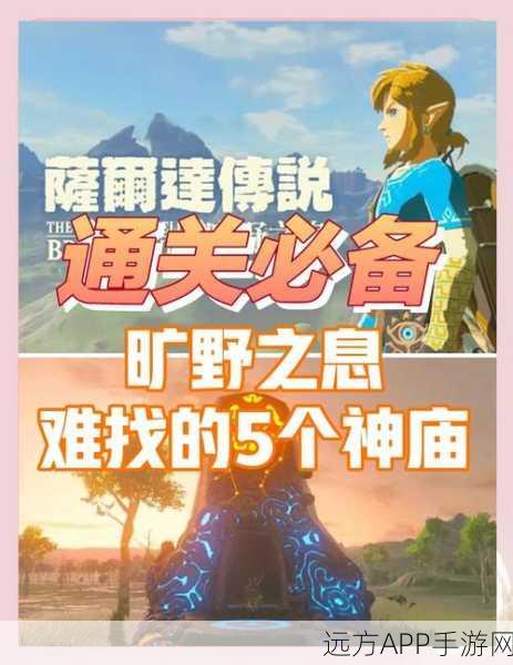 塞尔达传说,揭秘巨鲸化石与远古遗迹全攻略