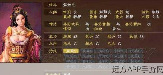 三国志13忠贞女将全解析，寻觅战场上的巾帼红颜