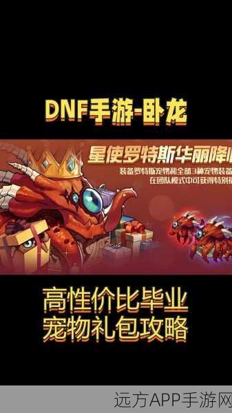 DNF手游礼包宠物深度解析，培养策略与性价比大揭秘