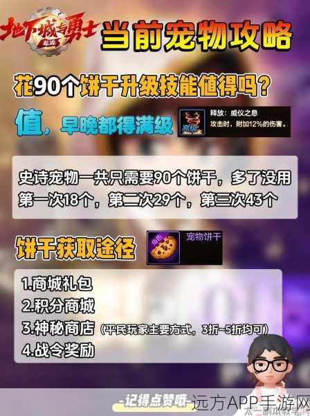 DNF手游礼包宠物深度解析,培养策略与性价比大揭秘