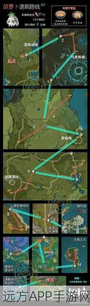 原神深度攻略，白萝卜高效采集秘籍，助你资源收益最大化
