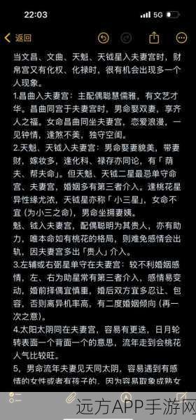 神仙道婚姻系统深度解析，铁婚经验秘籍与神仙情侣的爱情试炼