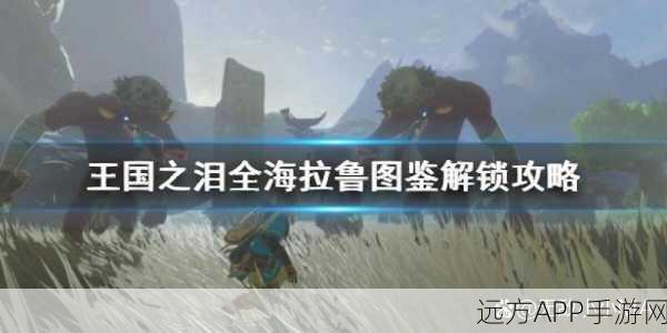 塞尔达传说王国之泪，金手指秘籍大公开，助你征服海拉鲁！