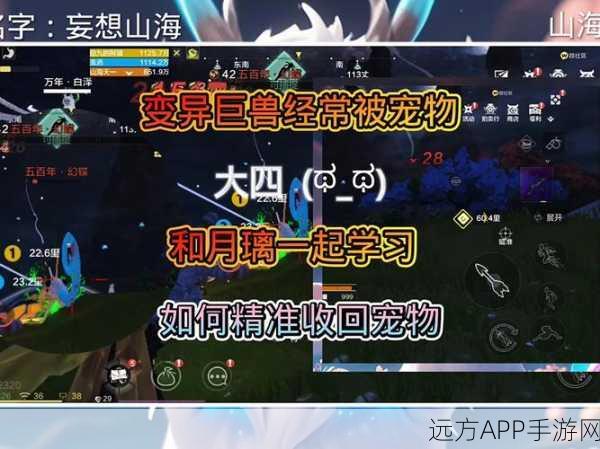 妄想山海，揭秘宠物变异部位点数获取攻略，打造独一无二神兽！