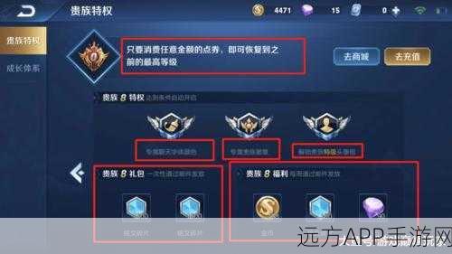 王者荣耀贵族系统揭秘，荣耀巅峰，贵族8级尊享特权全览
