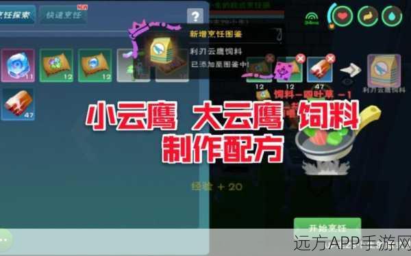 云鹰翱翔，魔法饲料揭秘，打造专属云鹰喂养秘籍