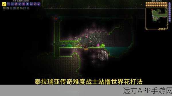 泰拉瑞亚重生点保存秘籍,打造你的专属复活圣地