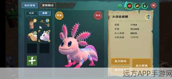 手游资讯，揭秘创造与魔法大顽皮蝾螈战宠伤害力及战斗细节