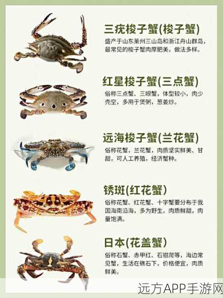 原神黄油蟹蟹食谱获取攻略,解锁夏日美味秘籍