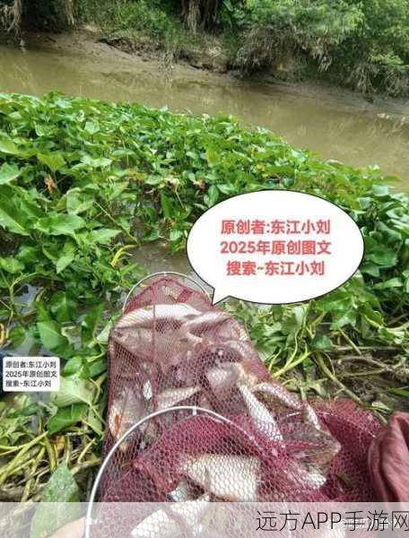 剑网3指尖江湖钓鱼攻略，解锁钓鱼技巧与最佳钓点