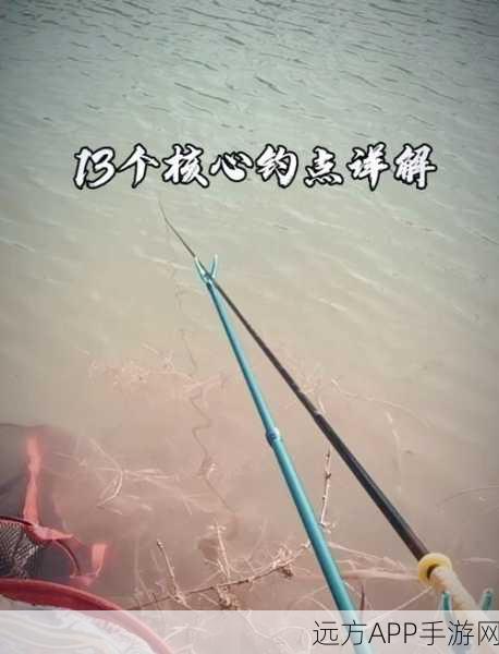 剑网3指尖江湖钓鱼攻略,解锁钓鱼技巧与最佳钓点