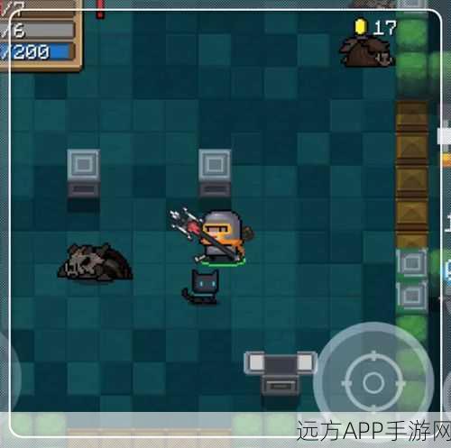 元气骑士揭秘，子弹鱼的奇妙用途与实战攻略