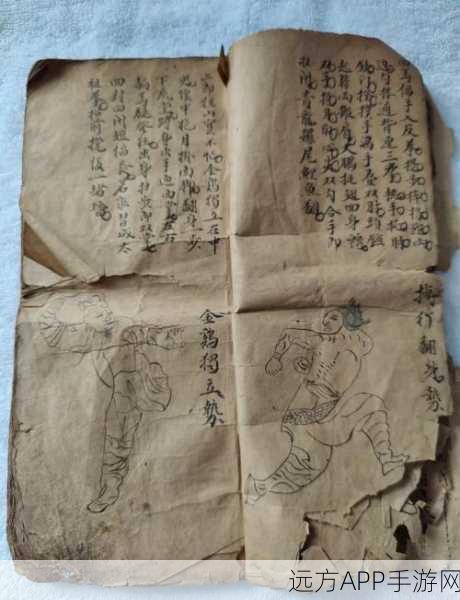 手游绝学揭秘,九阴真经螳螂拳实战技巧与赛事亮点