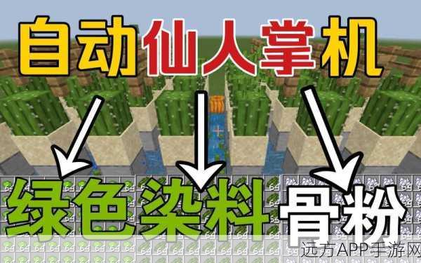 我的世界仙人掌刷经验攻略,快速升级的秘密武器